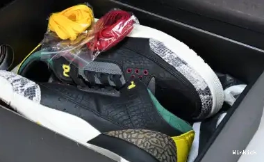CV3583-003 3 “ANIMAL SE INSTINCT JORDAN AIR 2.0” 0619